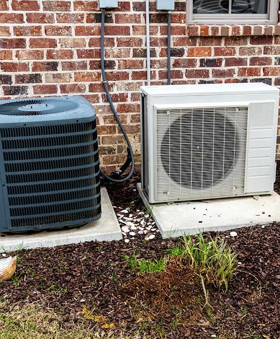 About Image About Image